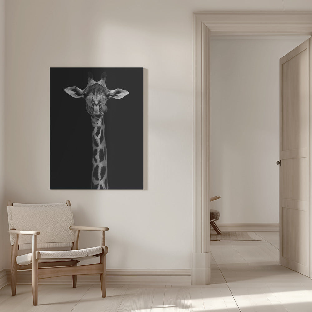 Portrait de girafe pour décoration murale