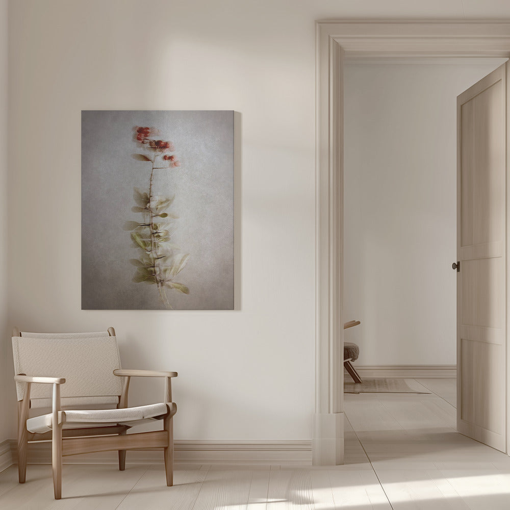 Wall Art Exposed