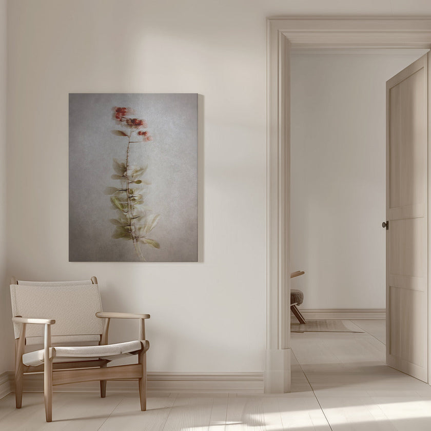 Wall Art Exposed