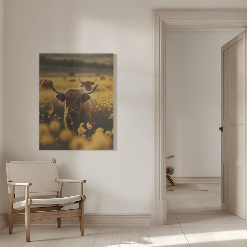 Décoration murale : Vaches des Highlands dans un champ de fleurs