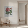 Pink Rose, Glorie De Dijon Lithograph