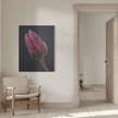 Wall art Tulipe Rose 1