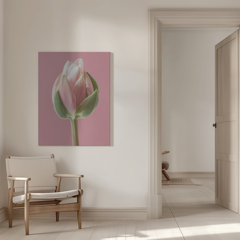 Art mural Tulipe rose