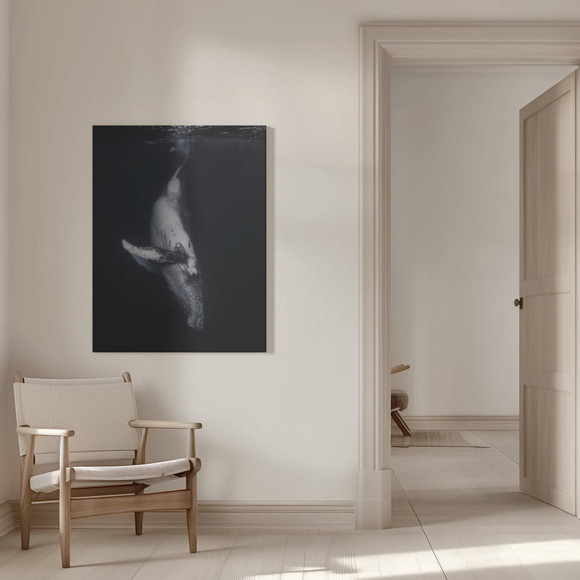 Wall Art - Baleine noire