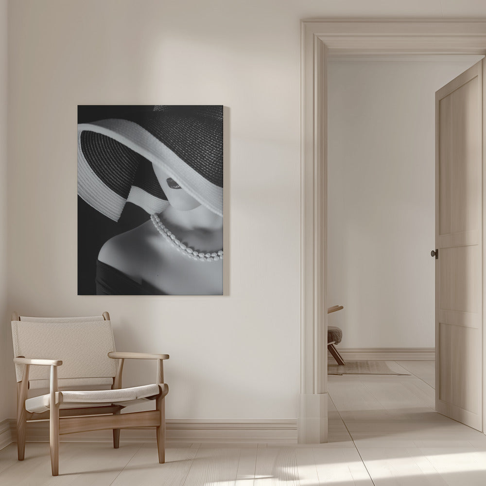 Art mural : Élégance dans l'ombre