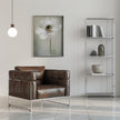 Blanc simple