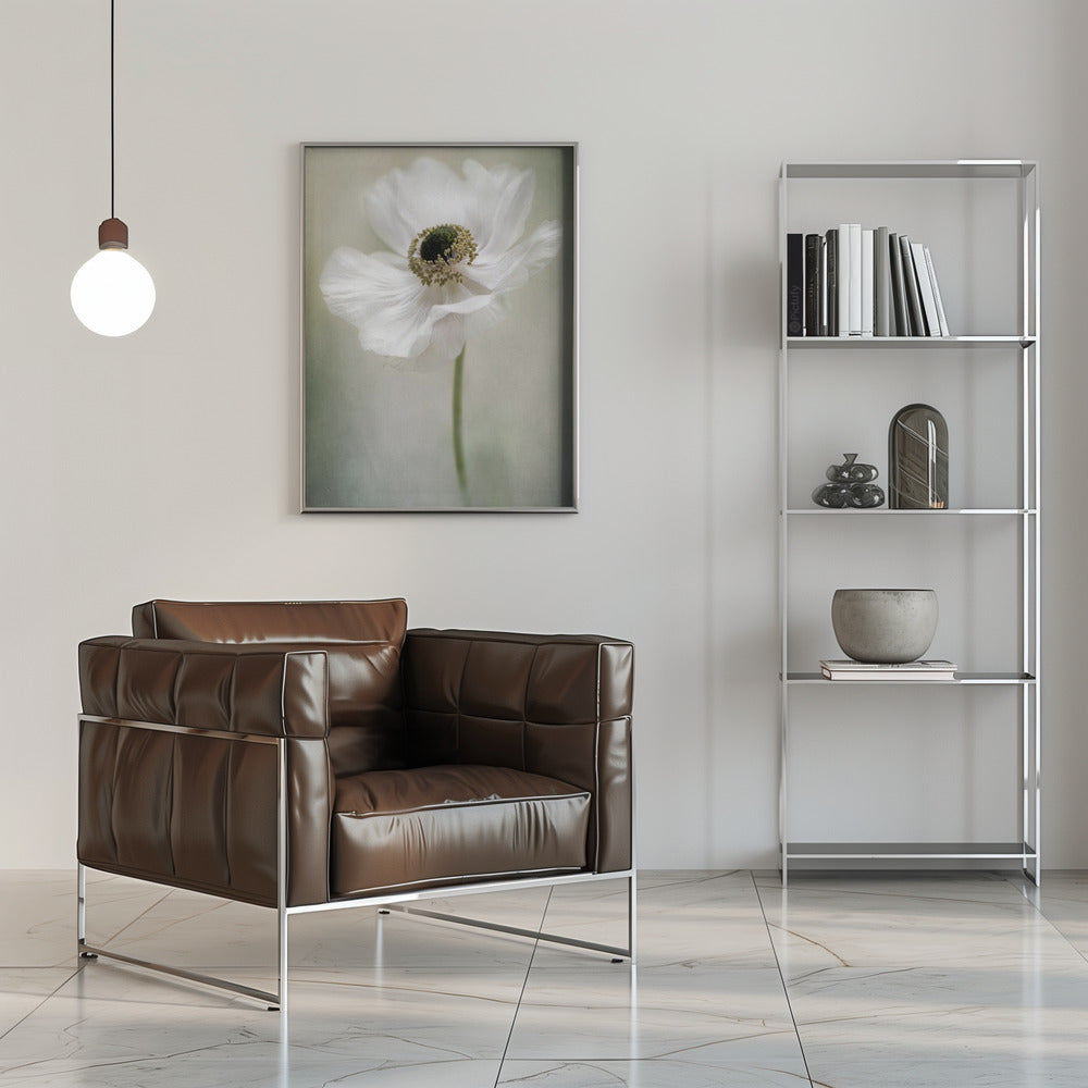 Blanc simple