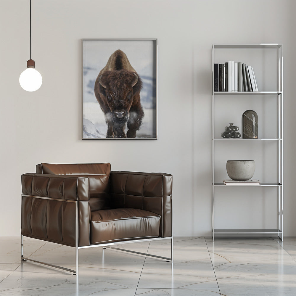 Wall Art Bison en approche