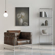 Wall Art Softened