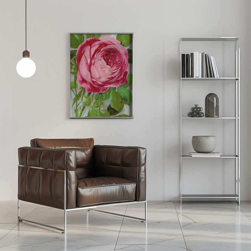 Wall Art Pink Rose, Mrs John Laing Lithograph