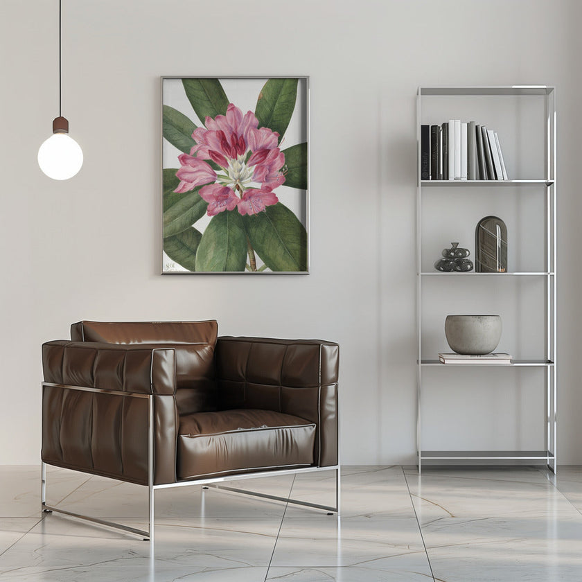 Wall Art Mountain Rose Bay (1932)