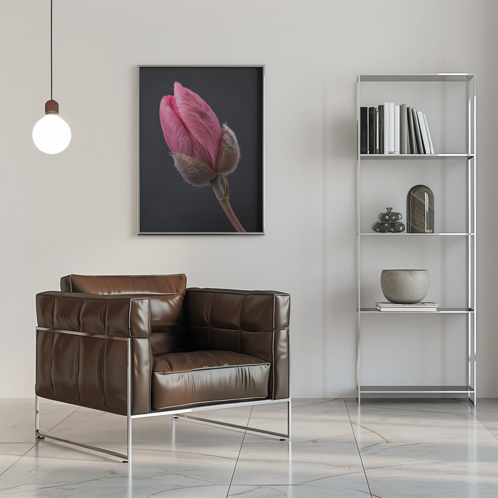Wall art Tulipe Rose 1