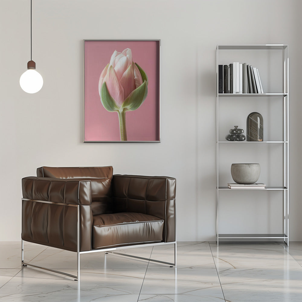 Art mural Tulipe rose