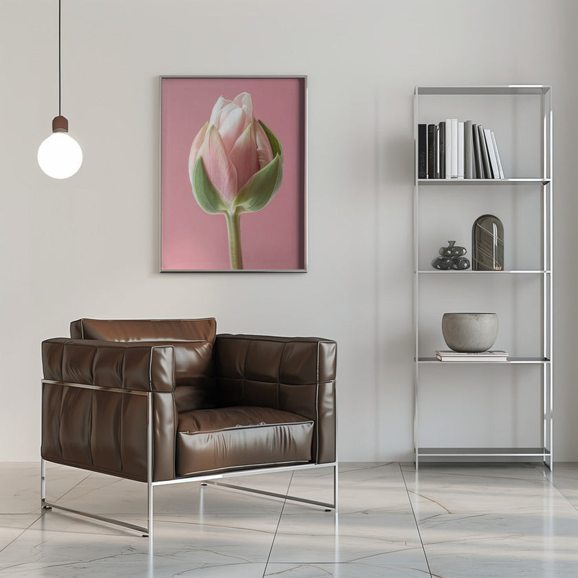 Art mural Tulipe rose