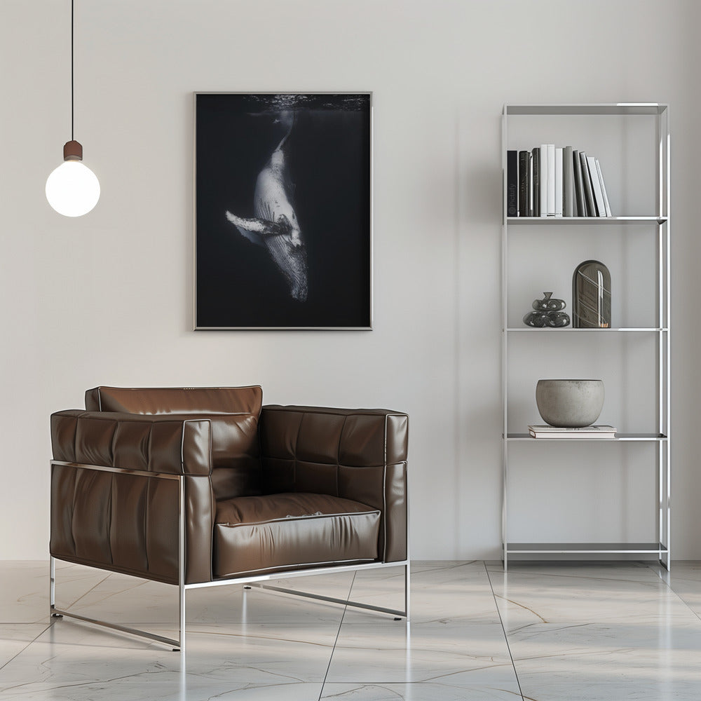 Wall Art - Baleine noire