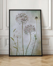 Wall Art Allium