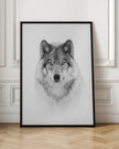 Portrait d'un loup des bois