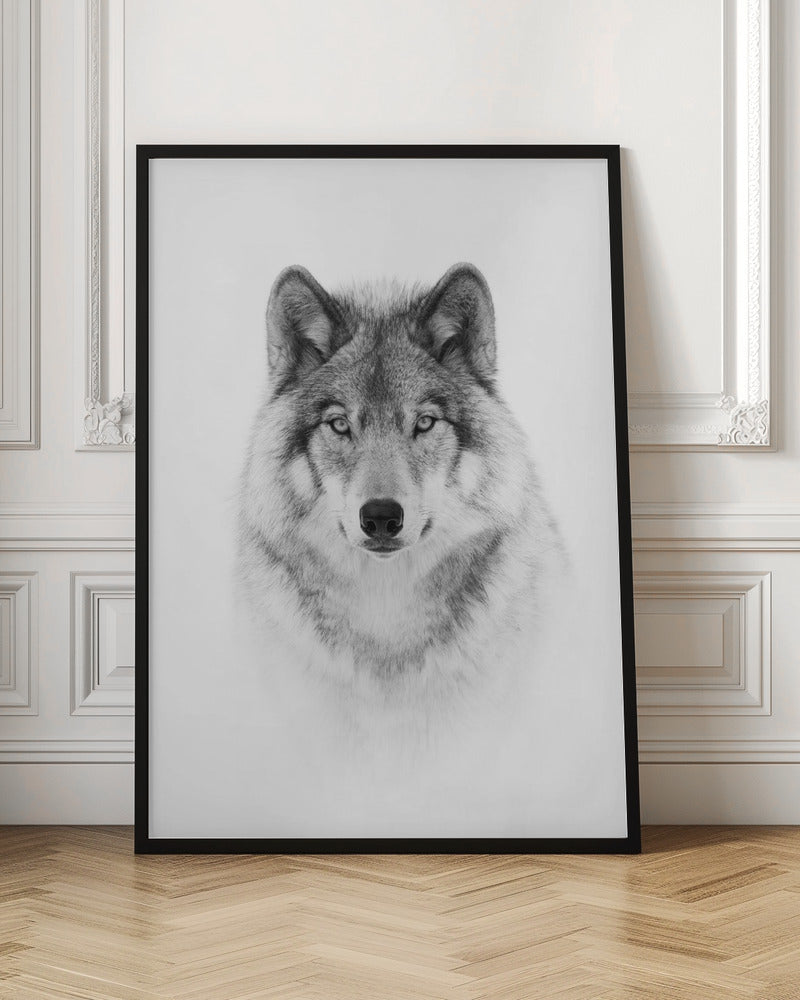 Portrait d'un loup des bois