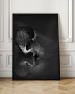 Art mural : Le reflet