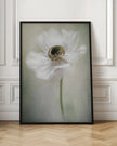 Blanc simple
