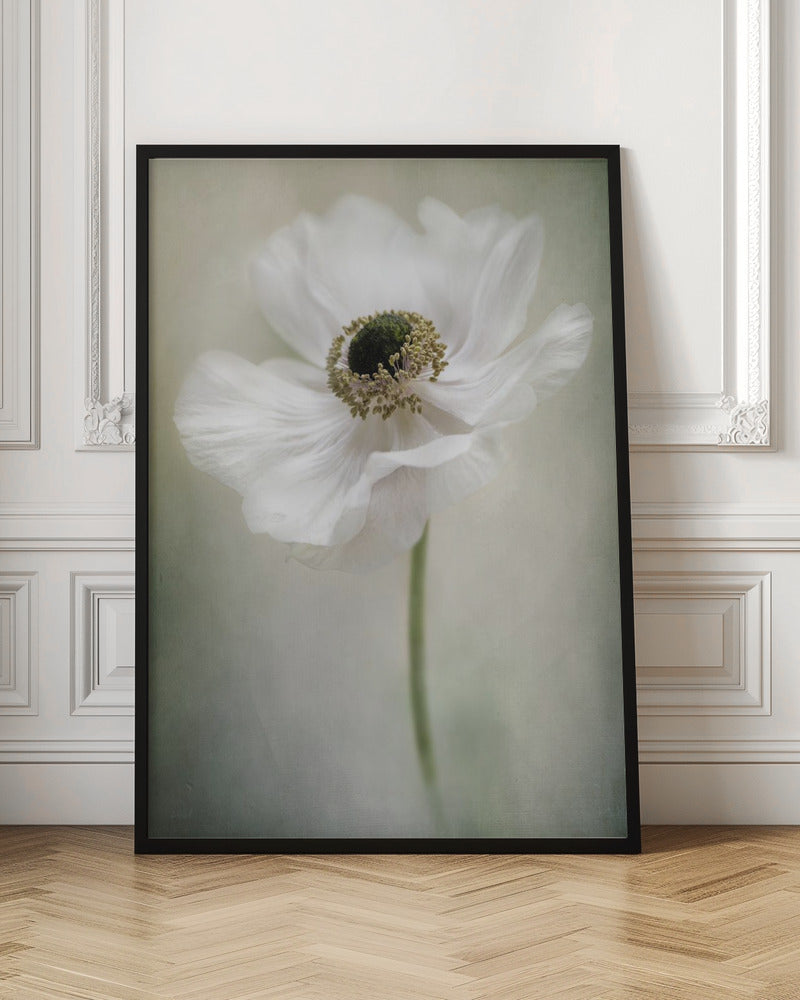 Blanc simple