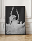 Wall Art Amadeus