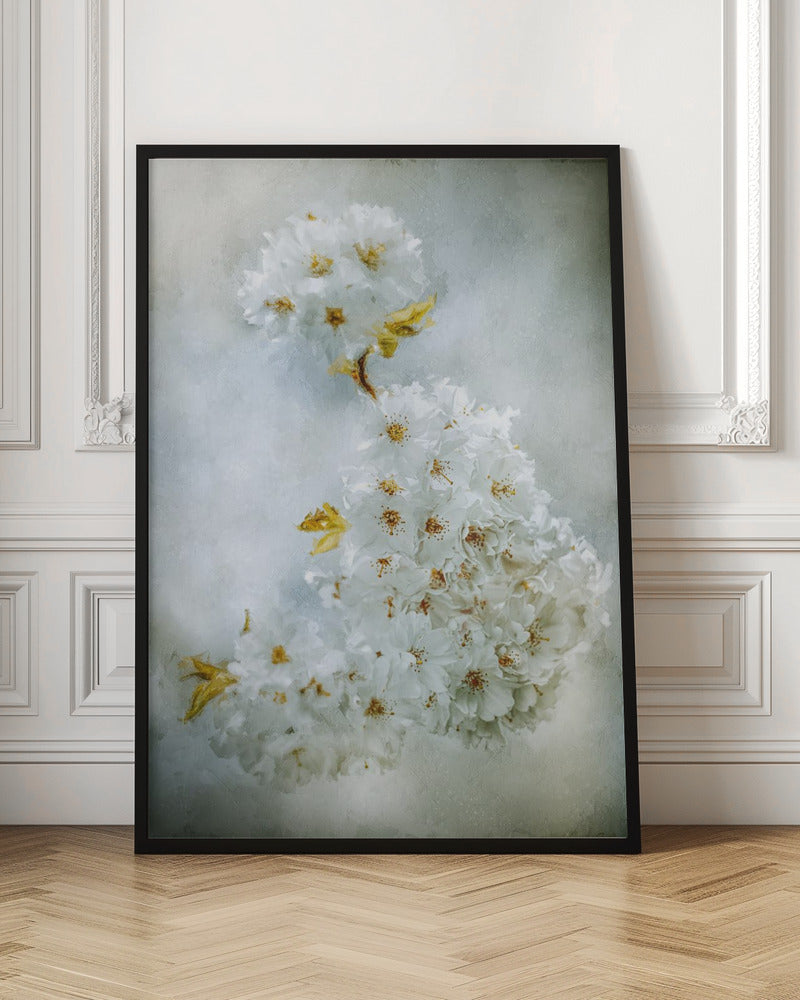 Décoration murale : Fleurs de cerisier