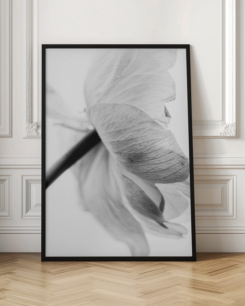 Toile décorative murale représentant une fleur en pleine floraison.