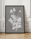 Wall art Botanical Illustration 3