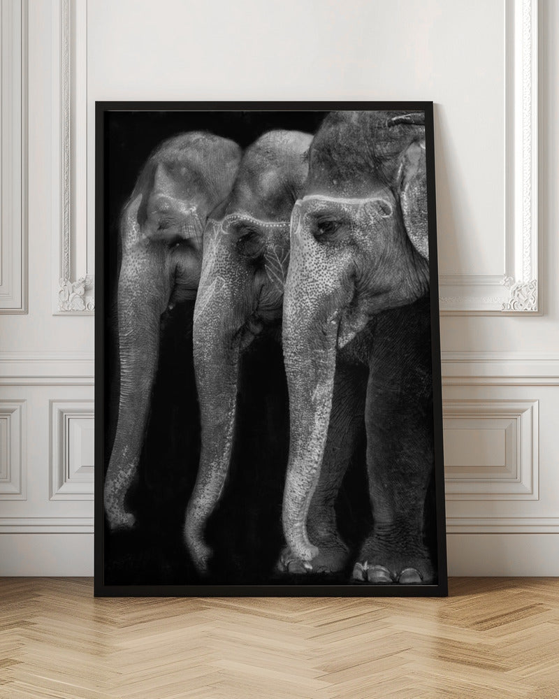 Art mural : Le chef-d'œuvre de la nature, un éléphant ; la seule grande chose inoffensive...