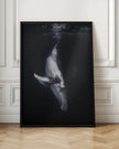 Wall Art - Baleine noire