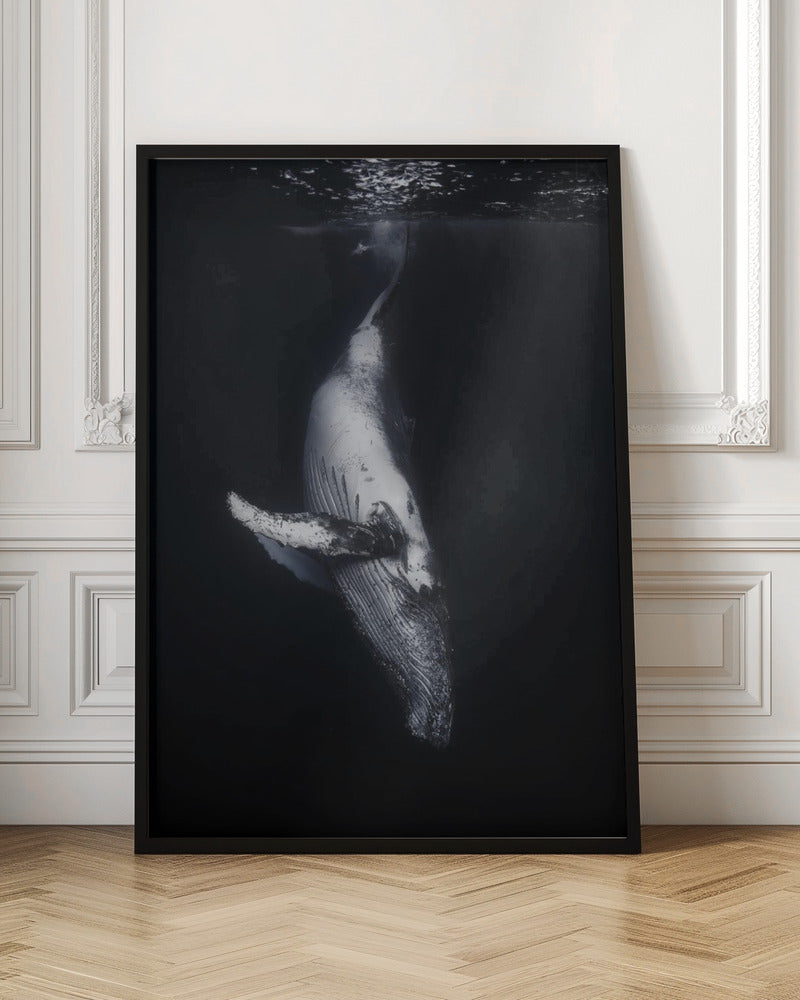 Wall Art - Baleine noire