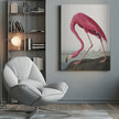 Pink Flamingo Ii From Birds of America (1827)