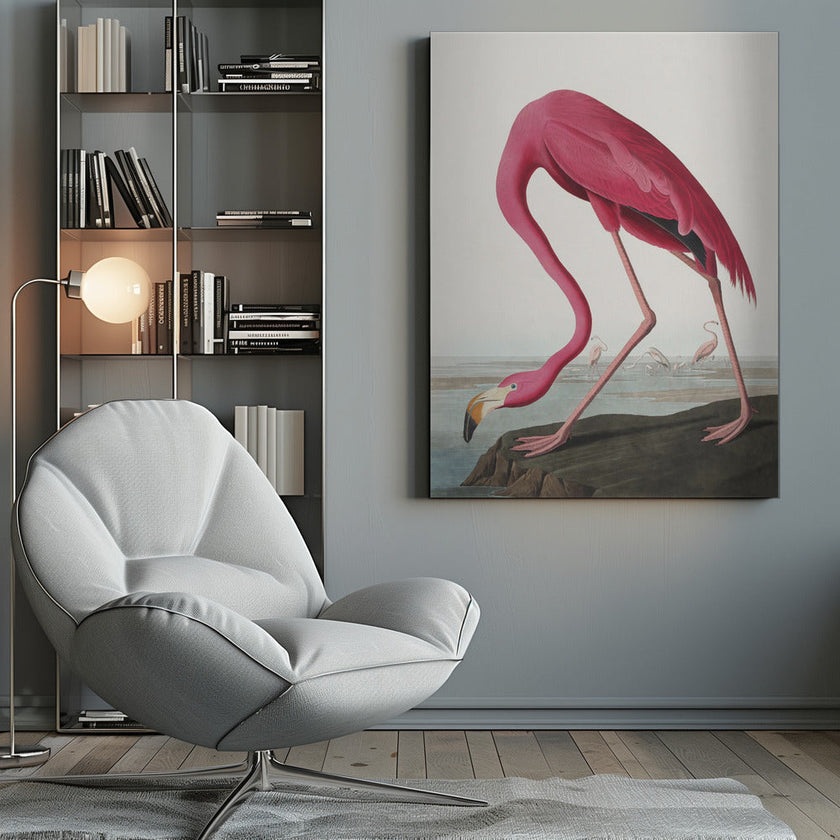 Pink Flamingo Ii From Birds of America (1827)