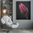 Wall art Tulipe Rose 1