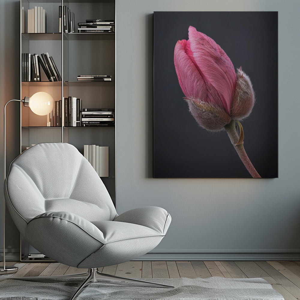 Wall art Tulipe Rose 1