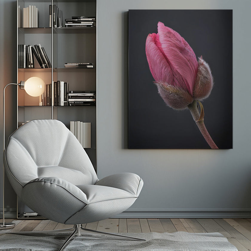 Wall art Tulipe Rose 1