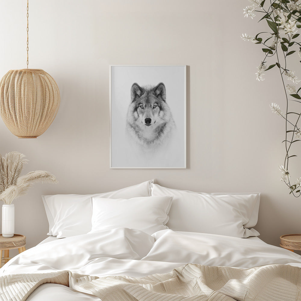 Portrait d'un loup des bois