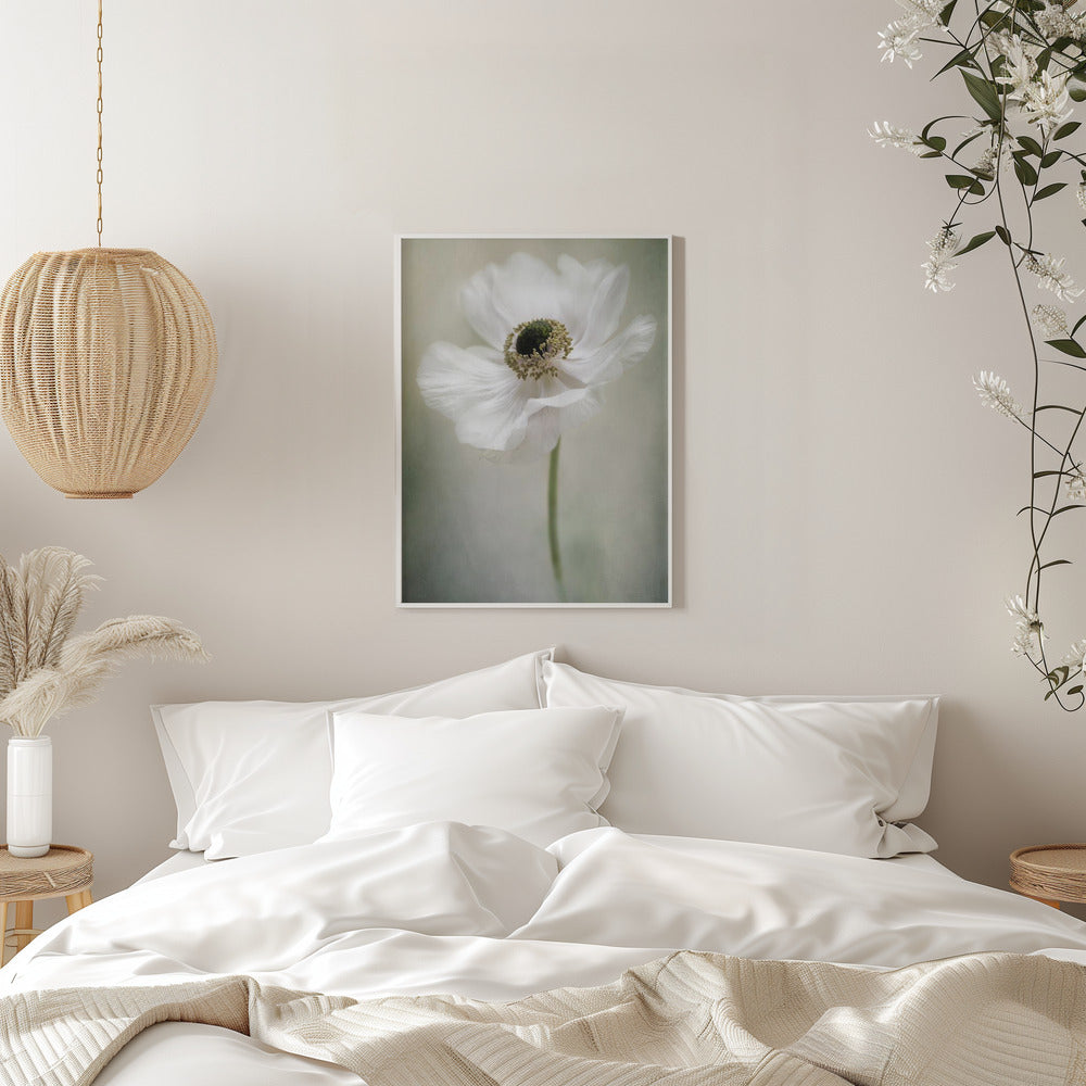 Blanc simple