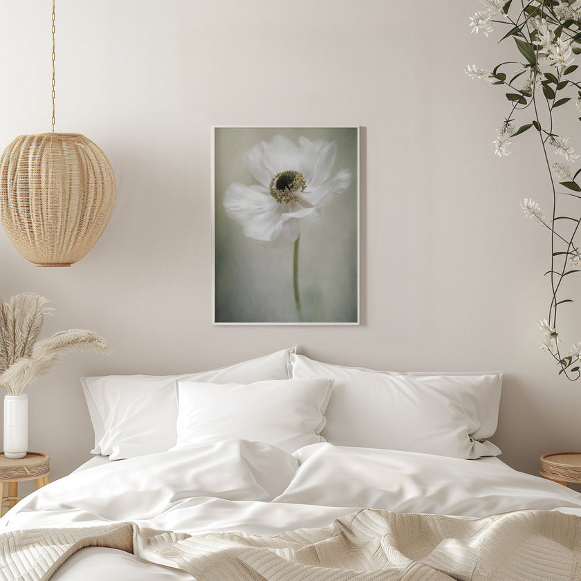 Blanc simple
