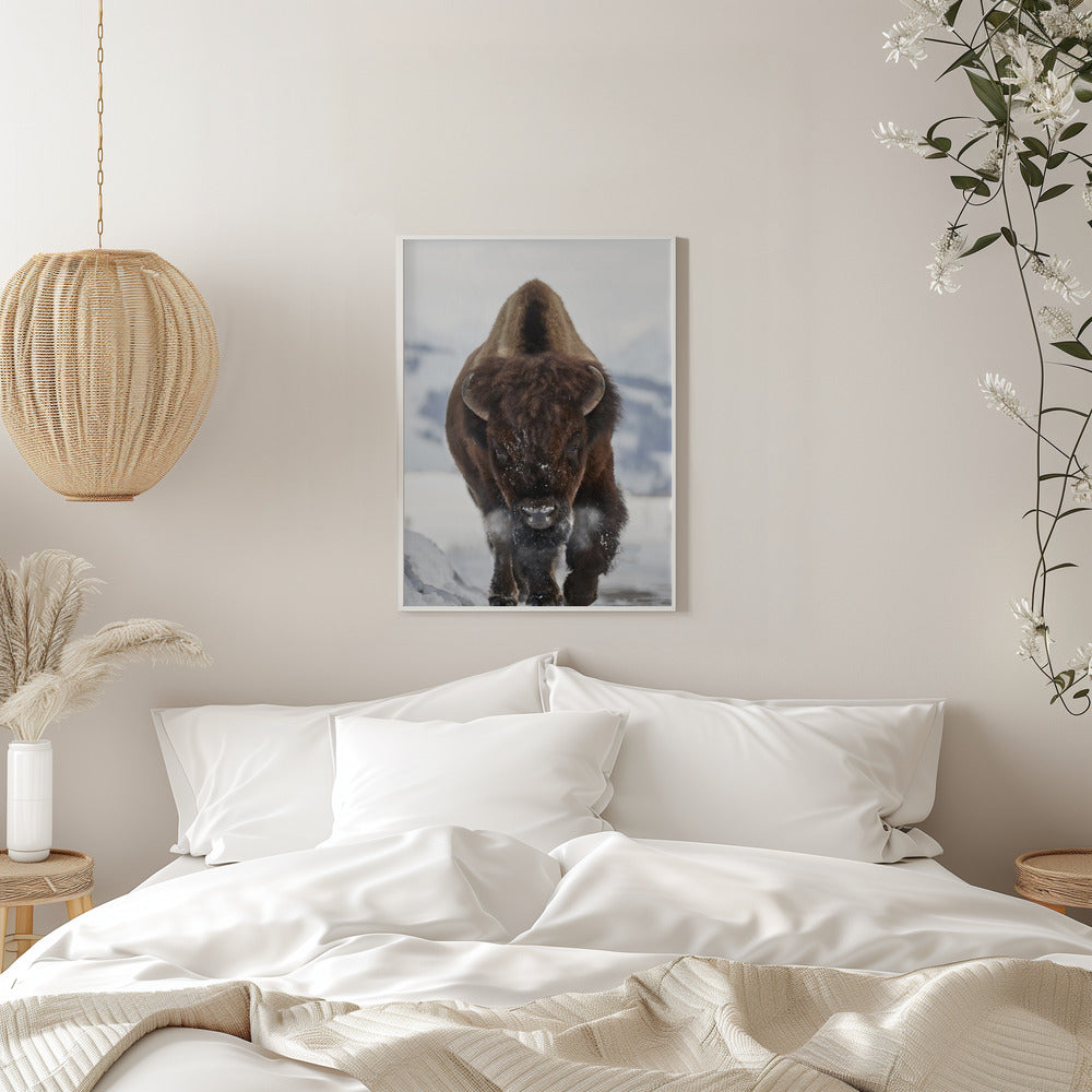 Wall Art Bison en approche
