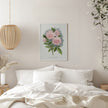 Wall Art Pink Rose, Clothilde Soupert Lithograph