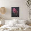Wall art Tulipe Rose 1