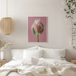 Art mural Tulipe rose
