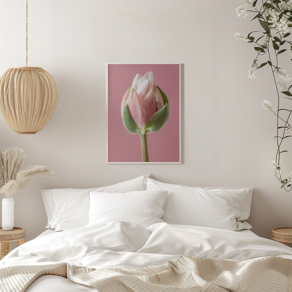 Art mural Tulipe rose
