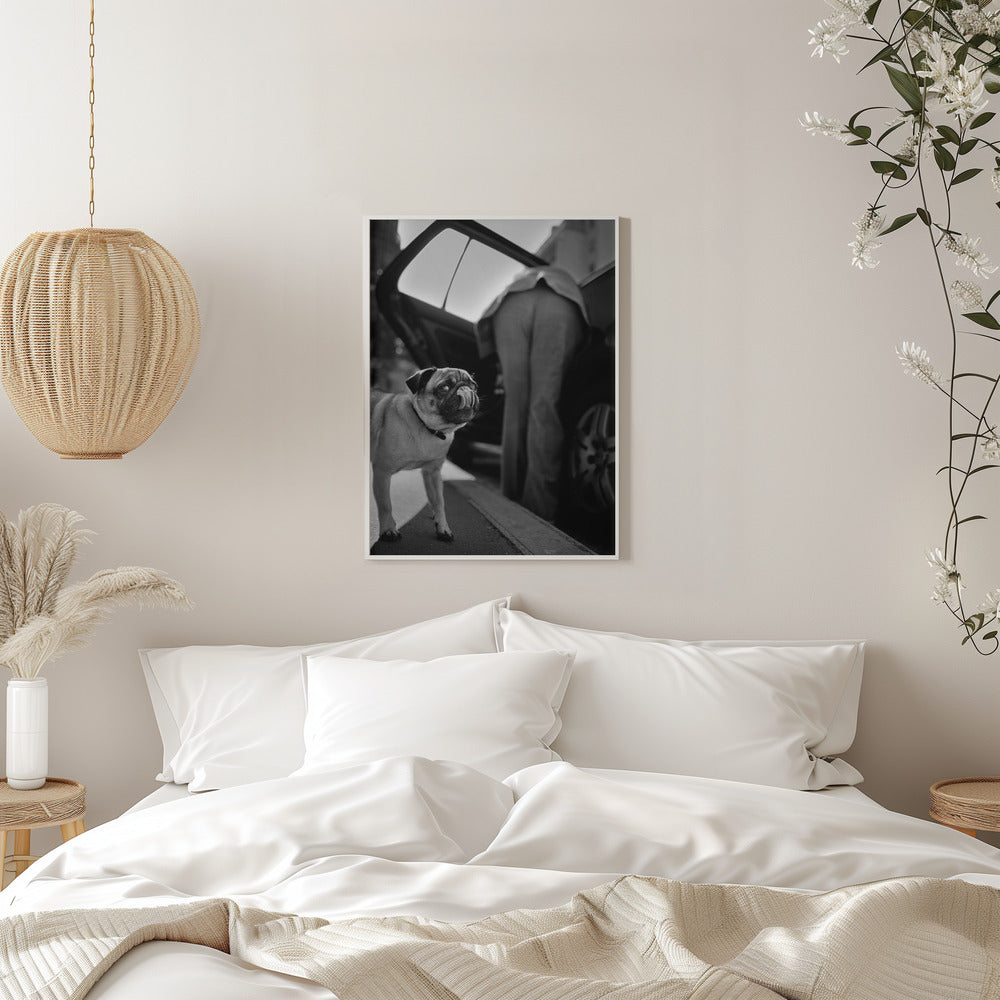 Wall art Sans titre