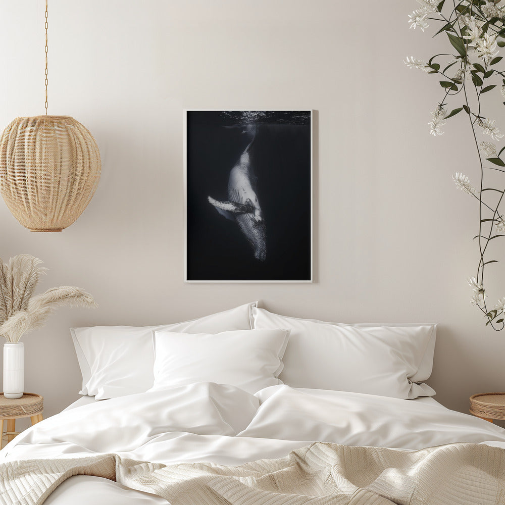 Wall Art - Baleine noire