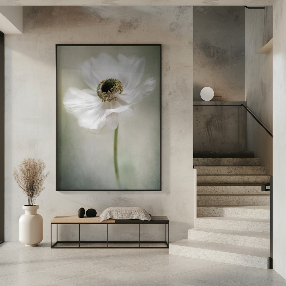 Blanc simple