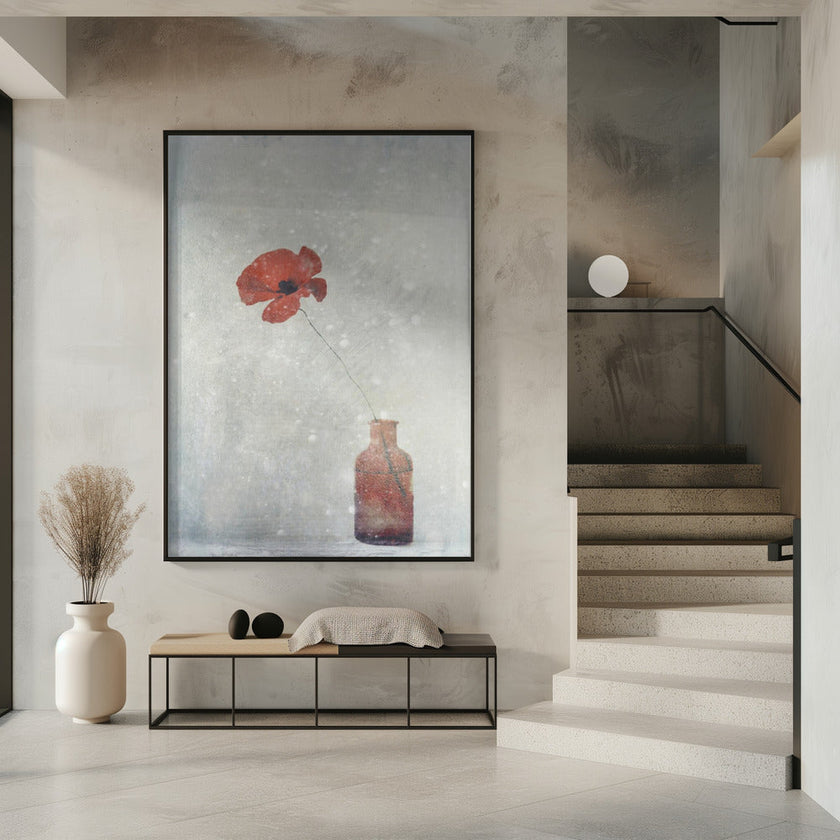Art mural : Papaver somnifere (Mughetto)