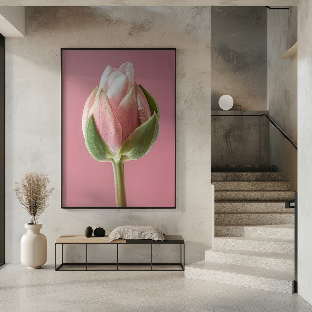 Art mural Tulipe rose
